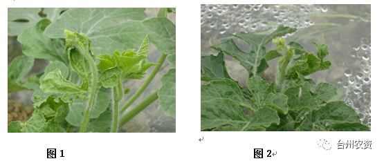 臺州農資 臺州農資